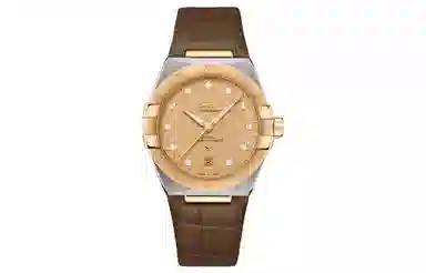 OMEGA Constellation 131.23.39.20.58.001