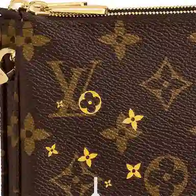 Louis Vuitton Pochette Double Zip