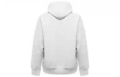 Carhartt WIP Hoodie Grey