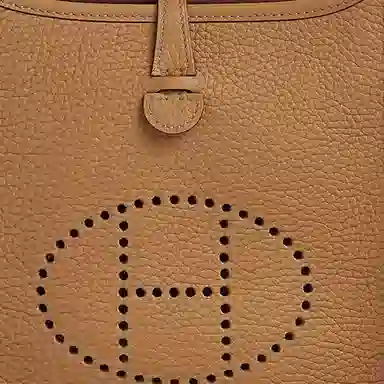 Hermes Evelyne 16 Clemence Biscuit