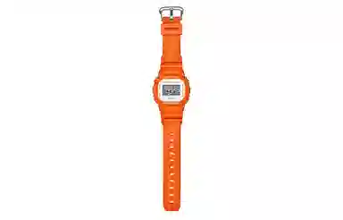 CASIO200 DW-5600WS-4DR