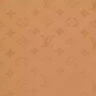 LOUIS VUITTON Fortune Cookie