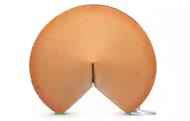 LOUIS VUITTON Fortune Cookie