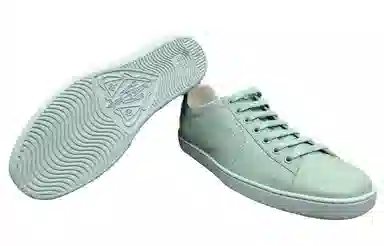 GUCCI ACE