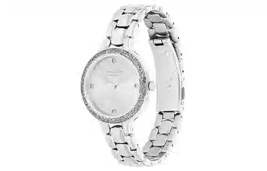 COACHCHELSEA 32mm 14504124