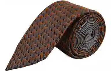 万事利 真丝领带时尚商务男士礼盒装 凤翎 高端凤凰系列