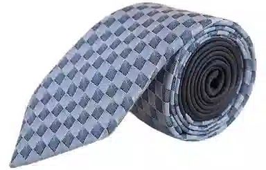 万事利 真丝领带时尚商务男士礼盒装 凤翎 高端凤凰系列