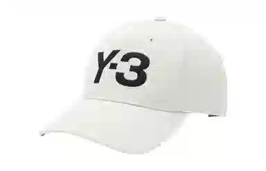 Y-3