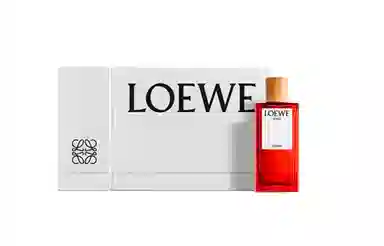 LOEWE EDT2023