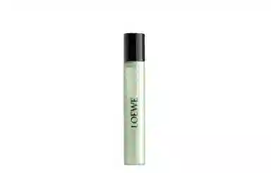 LOEWE EDT2023