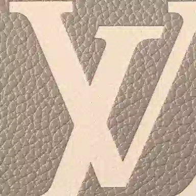 Louis Vuitton Speedy Bandouliere 20