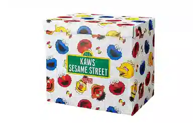 UNIQLO x KAWS Sesame Street Plush