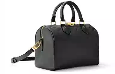 Louis Vuitton Speedy 25