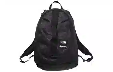 Supreme x The North Face Backpack
