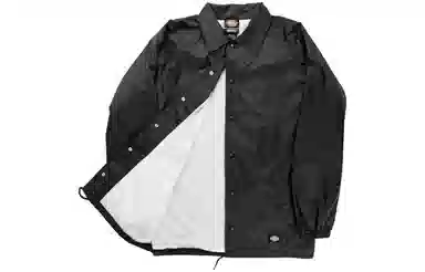 Dickies Logo
