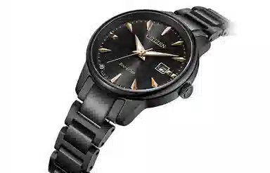 CITIZEN EW2595-81E