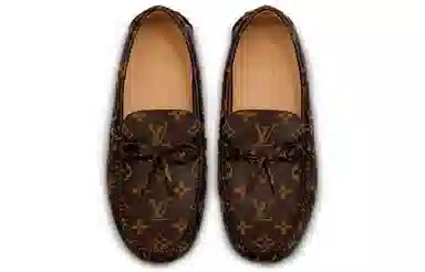 LOUIS VUITTON Arizona Monogram