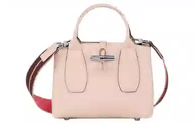 LONGCHAMP Roseau 22