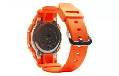 CASIO200 DW-5600WS-4DR