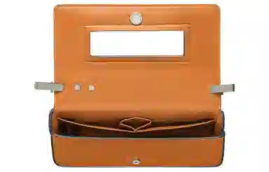 Fendi Mini Brown Handbag