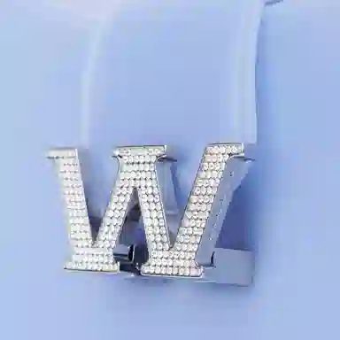 Alexander Wang W Legacy Blue