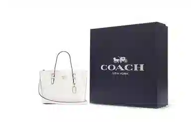 COACH Mollie 25 Tote