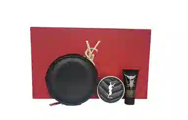YSL 22 B20 5g+5ml+