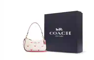 COACH Teri 24