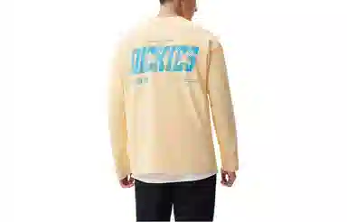 Dickies SS23 T