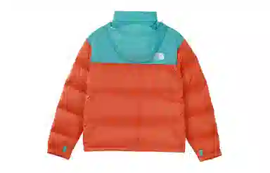 THE NORTH FACE 1996 Retro Nuptse 700