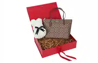COACH Zip Top Tote 30 Tote
