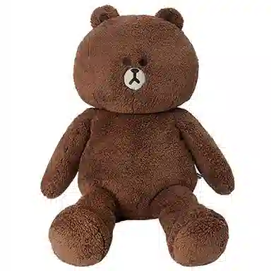 LINE FRIENDS HUG BROWN