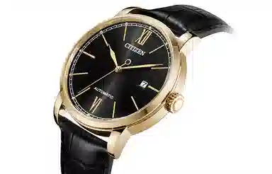 CITIZEN 42mm NJ0133-12E