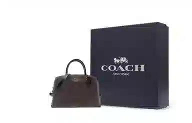 COACH Lillie 32 PVC