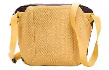 Arcteryx Mantis 2L Yellow