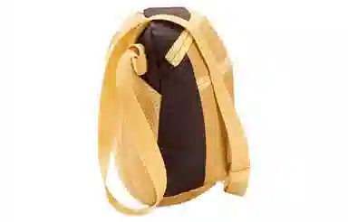 Arcteryx Mantis 2L Yellow