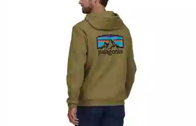 Patagonia Fitz Roy Logo Hoodie