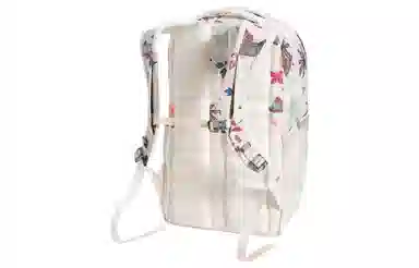 The North Face Jester Gardenia White