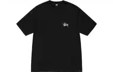 Stussy Basic Pigment Dyed Tee