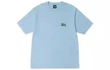 Stussy Basic Pigment Dyed Tee