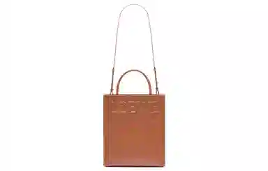 LOEWE A4 Tote