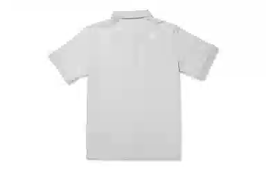 THE NORTH FACE LogoPolo