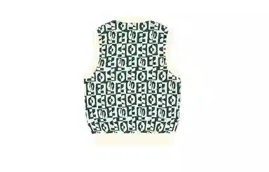 Vision Street Wear Logo Knit Vest Green