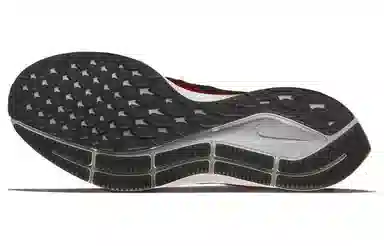 Nike Air Zoom Pegasus 35