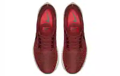 Nike Air Zoom Pegasus 35