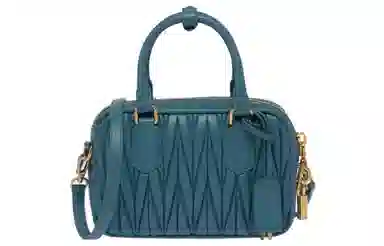 Miu Miu Wander Small