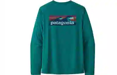 patagonia T