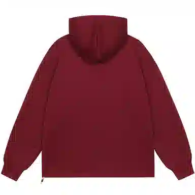 S.view Hoodie