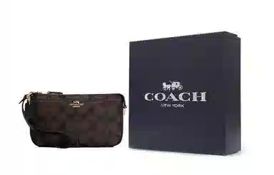 COACH Nolita 19