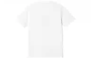 Carhartt WIP SS23 Graphic Tee